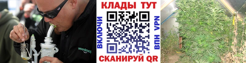 Купить наркотики сайты Каневская Гашиш  Каннабис  Галлюциногенные грибы  АМФ  МЕФ  Cocaine 