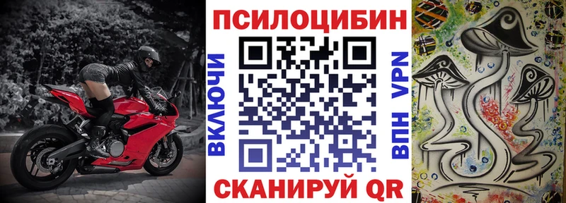 Псилоцибиновые грибы GOLDEN TEACHER  закладка  Каневская 
